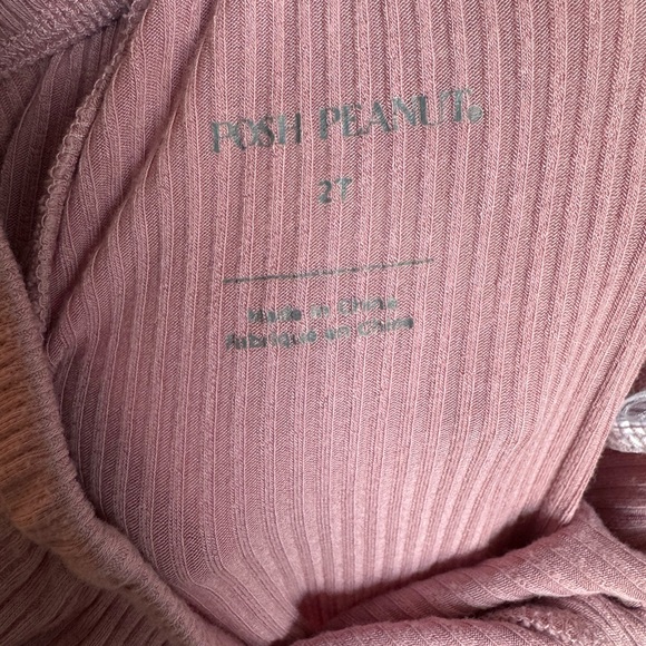 • Posh Peanut • Toddler Girls Bamboo Flare Pants 2T - Picture 4 of 4